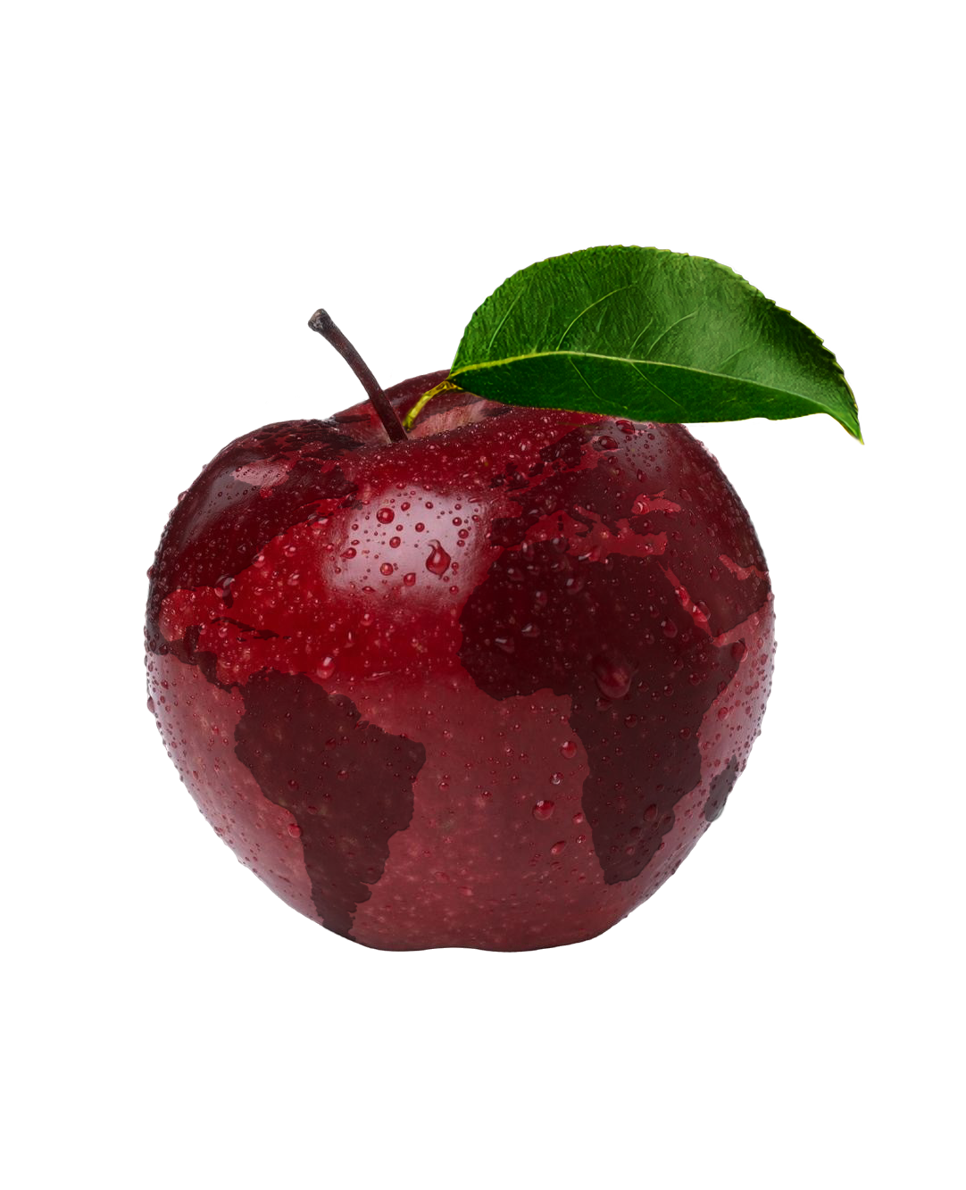 manzana
