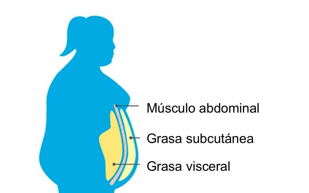 Distintos tipos de cáncer